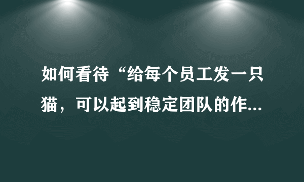 如何看待“给每个员工发一只猫，可以起到稳定团队的作用”这句话？