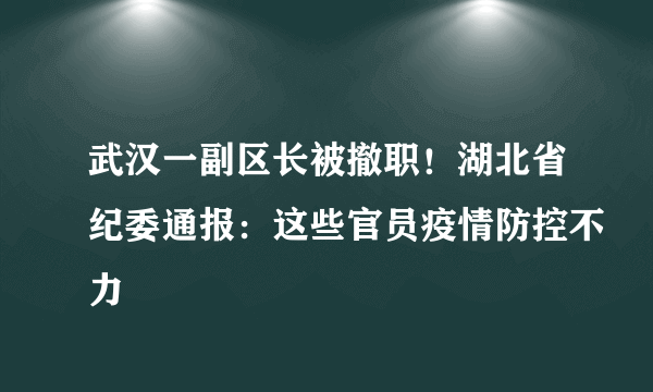 武汉一副区长被撤职！湖北省纪委通报：这些官员疫情防控不力