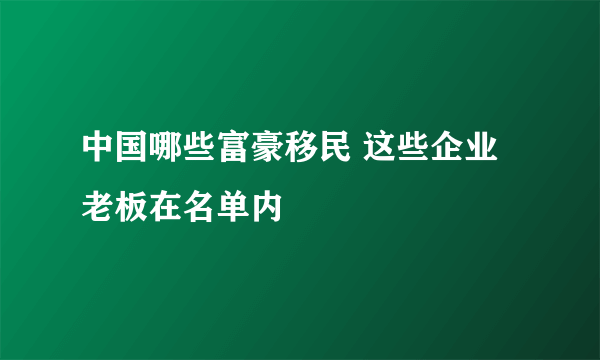 中国哪些富豪移民 这些企业老板在名单内