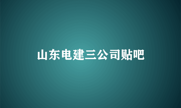 山东电建三公司贴吧