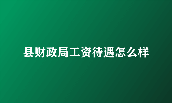 县财政局工资待遇怎么样