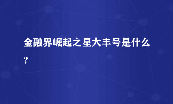 金融界崛起之星大丰号是什么？