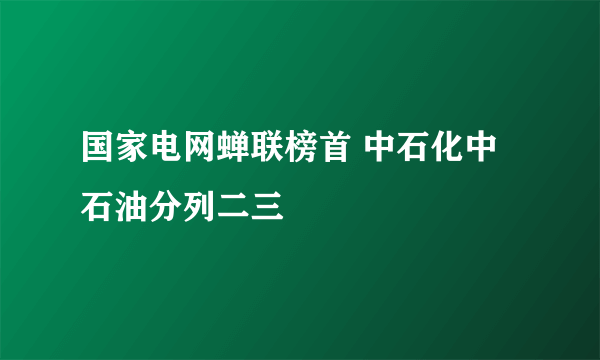 国家电网蝉联榜首 中石化中石油分列二三