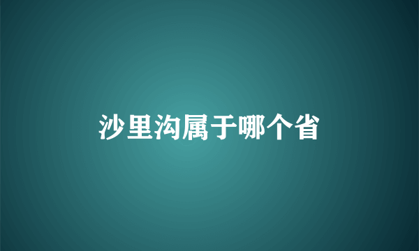 沙里沟属于哪个省