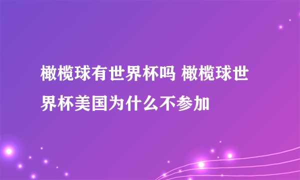 橄榄球有世界杯吗 橄榄球世界杯美国为什么不参加