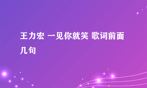 王力宏 一见你就笑 歌词前面几句