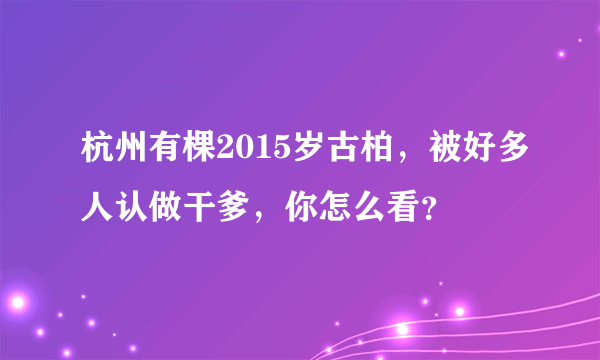 杭州有棵2015岁古柏，被好多人认做干爹，你怎么看？