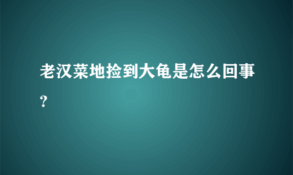 老汉菜地捡到大龟是怎么回事？