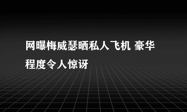 网曝梅威瑟晒私人飞机 豪华程度令人惊讶