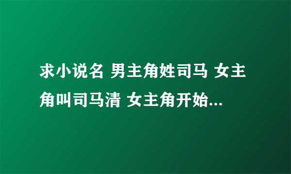 求小说名 男主角姓司马 女主角叫司马清 女主角开始生了一对双胞胎 后面又生了一对龙凤胎