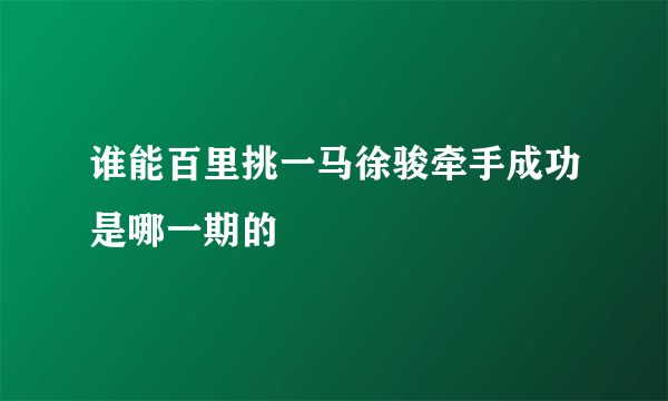 谁能百里挑一马徐骏牵手成功是哪一期的