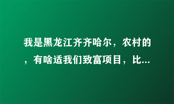 我是黑龙江齐齐哈尔，农村的，有啥适我们致富项目，比如养殖，种植，