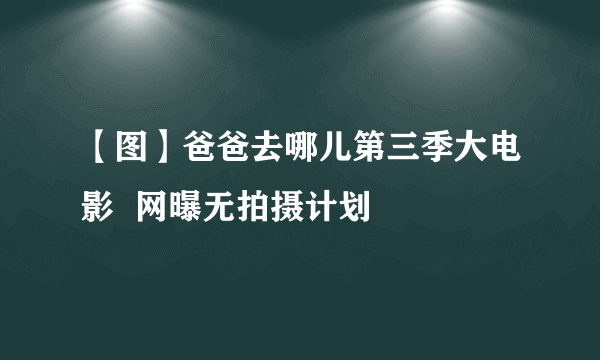 【图】爸爸去哪儿第三季大电影  网曝无拍摄计划