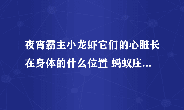 夜宵霸主小龙虾它们的心脏长在身体的什么位置 蚂蚁庄园今日答案7月9日