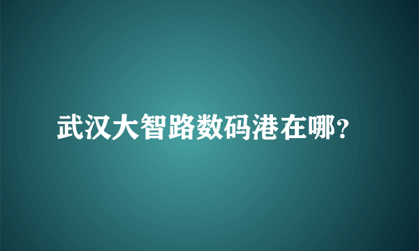 武汉大智路数码港在哪？