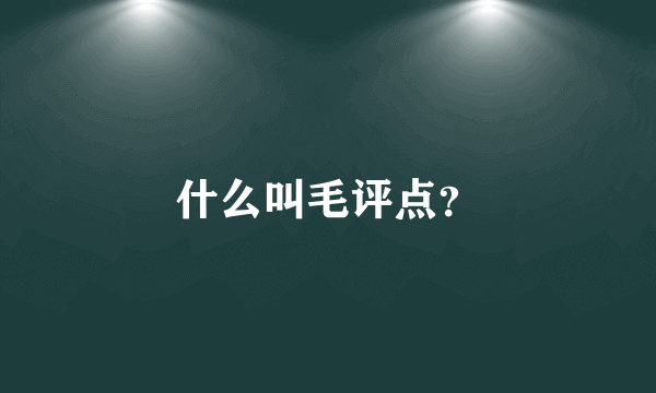 什么叫毛评点？