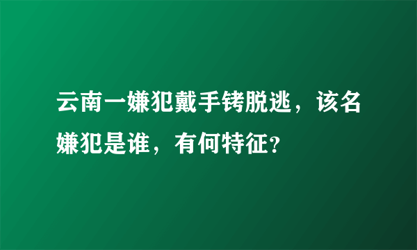 云南一嫌犯戴手铐脱逃，该名嫌犯是谁，有何特征？