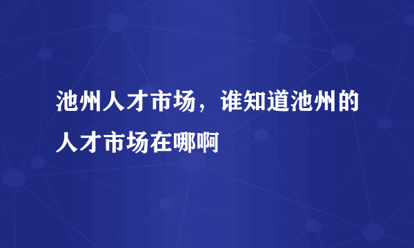 池州人才市场，谁知道池州的人才市场在哪啊