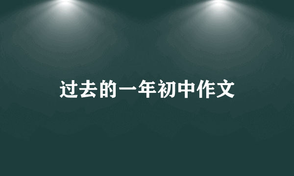 过去的一年初中作文