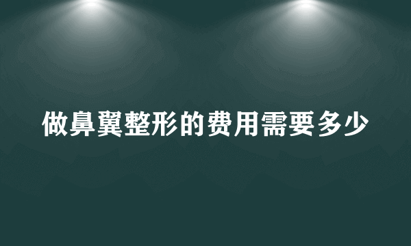 做鼻翼整形的费用需要多少