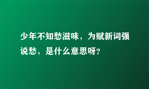 少年不知愁滋味，为赋新词强说愁，是什么意思呀？