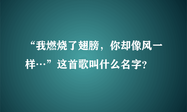 “我燃烧了翅膀，你却像风一样…”这首歌叫什么名字？