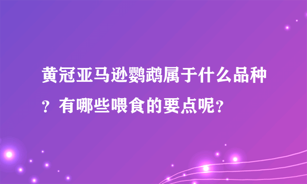 黄冠亚马逊鹦鹉属于什么品种？有哪些喂食的要点呢？