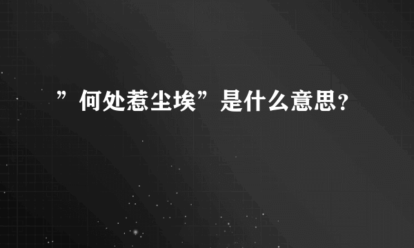 ”何处惹尘埃”是什么意思？