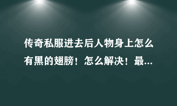 传奇私服进去后人物身上怎么有黑的翅膀！怎么解决！最好地址有