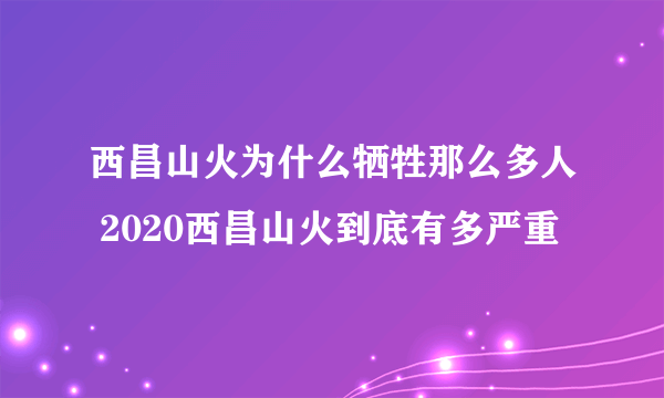 西昌山火为什么牺牲那么多人 2020西昌山火到底有多严重