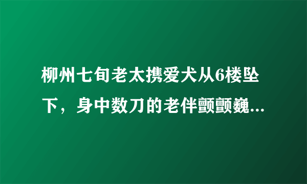 柳州七旬老太携爱犬从6楼坠下，身中数刀的老伴颤颤巍巍向楼下张望, 你怎么看？