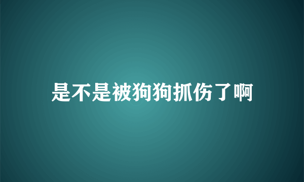 是不是被狗狗抓伤了啊