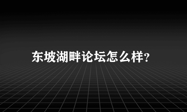 东坡湖畔论坛怎么样？