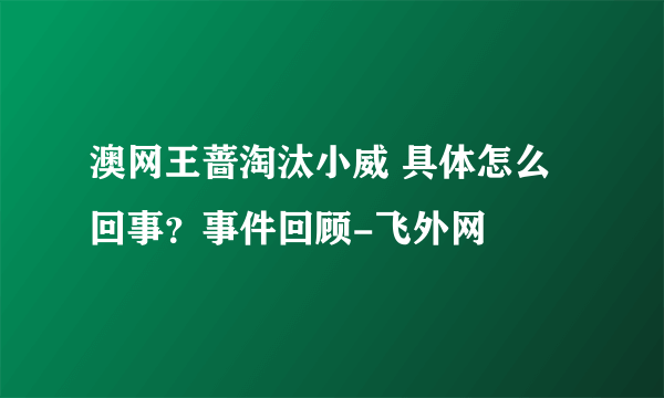 澳网王蔷淘汰小威 具体怎么回事？事件回顾-飞外网