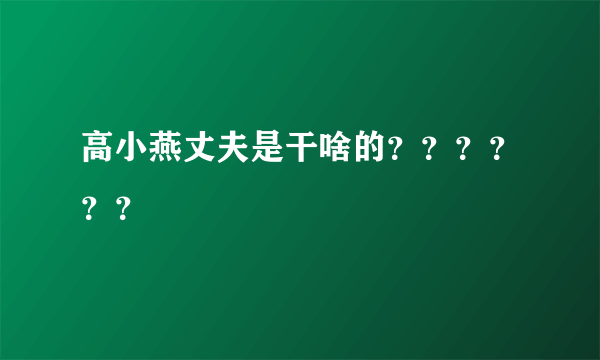 高小燕丈夫是干啥的？？？？？？