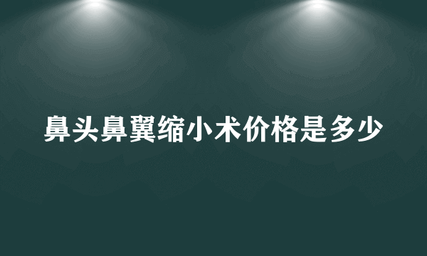 鼻头鼻翼缩小术价格是多少