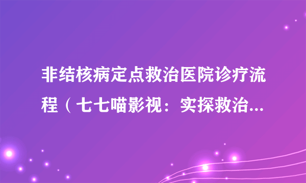 非结核病定点救治医院诊疗流程（七七喵影视：实探救治林志颖医院）