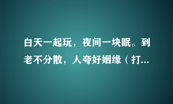 白天一起玩，夜间一块眠。到老不分散，人夸好姻缘（打一动物名）