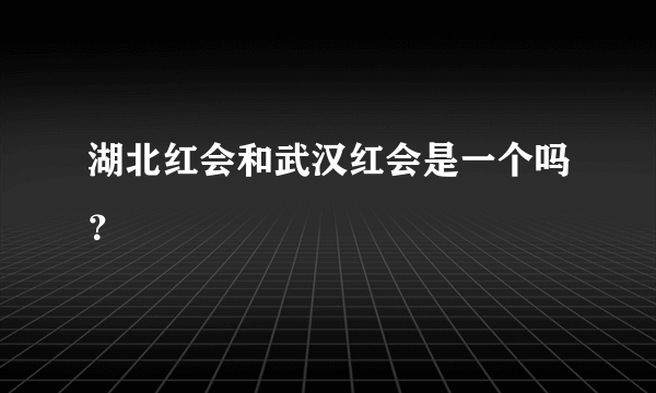 湖北红会和武汉红会是一个吗？