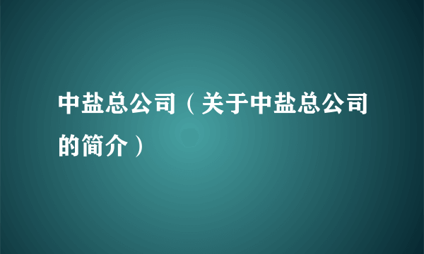 中盐总公司（关于中盐总公司的简介）