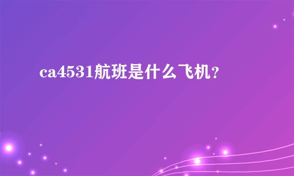 ca4531航班是什么飞机？