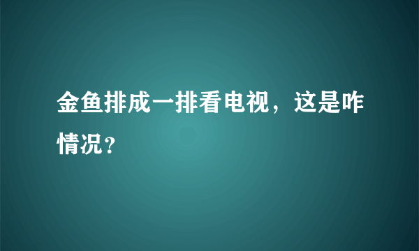 金鱼排成一排看电视，这是咋情况？