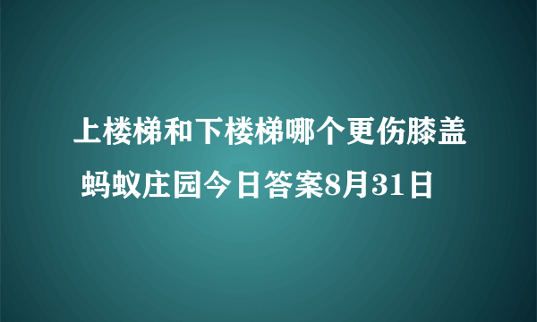 上楼梯和下楼梯哪个更伤膝盖 蚂蚁庄园今日答案8月31日