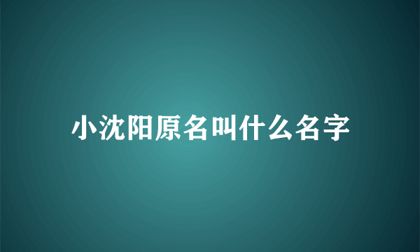 小沈阳原名叫什么名字