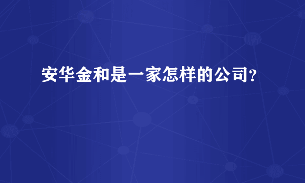 安华金和是一家怎样的公司？