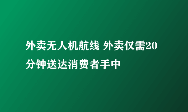 外卖无人机航线 外卖仅需20分钟送达消费者手中