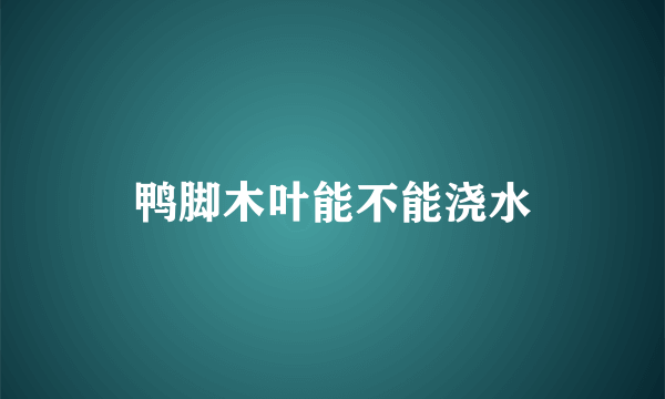 鸭脚木叶能不能浇水