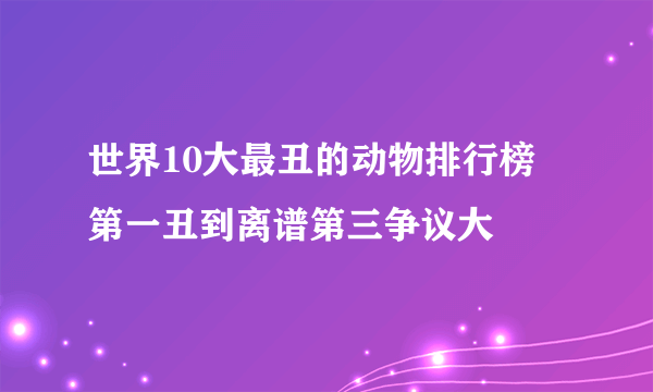 世界10大最丑的动物排行榜 第一丑到离谱第三争议大