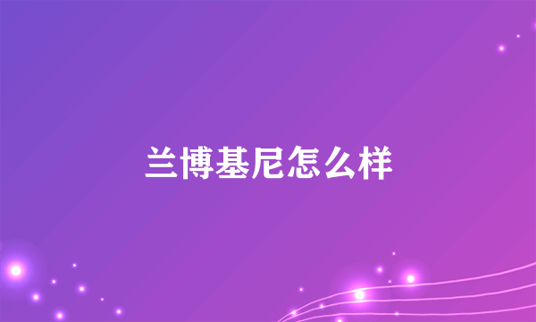 兰博基尼怎么样