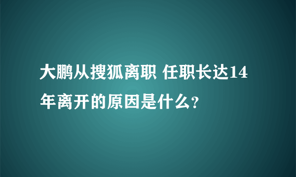 大鹏从搜狐离职 任职长达14年离开的原因是什么？